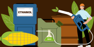 Green Ethanol Production Market