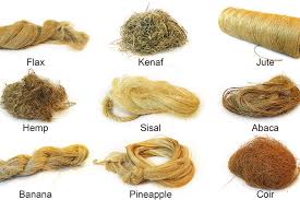 Natural Fiber Composites Market Growth