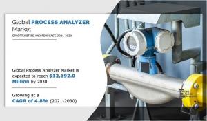 Process Analyzer Market Size, Share, Competitive