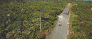 A man biking in the middle near the woods.