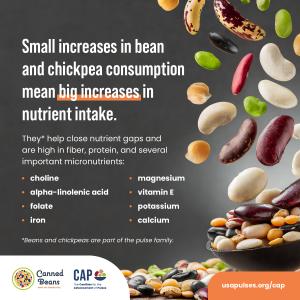 New Study Shows Eating Beans and Chickpeas is Linked to Better Diet Quality and Healthier Body Weights