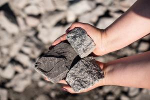 Needle Coke Market Insights