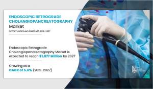 $1,876.75+ million Exploring the Growth Dynamics of the Endoscopic Retrograde Cholangiopancreatography (ERCP) Market