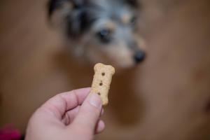 Pawlistic Offers Lamb Lung Dog Treats for the Health of Local Pets