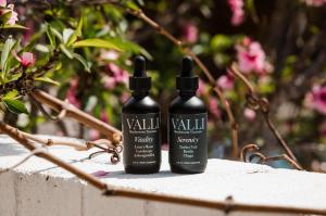 VÀLLI Serenity + Vitality Mushroom Tincture Bundle