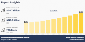Environmental Remediation Market Growth