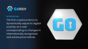 Image of Upgraded GOKEY token