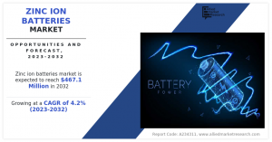 Zinc Ion Batteries Market Size