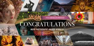 The 2024 MUSE Photography Awards Proudly Unveil the Latest Honored Photographers and Category Winners of the Year