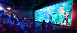 A crowd of people looking at a big, beautiful aquarium.