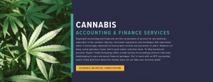 Higher Yields Consulting Announces Launch of Specialized Accounting and Finance Services