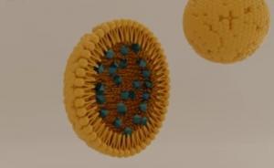 Nucleic Acid Delivery Excipients