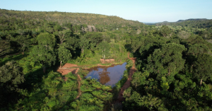 Aerial view of elephants near a pond in a lush landscape at Elephant Sanctuary Brazil