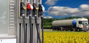 Biofuel Additives Market Trends