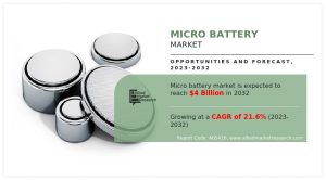 Micro Battery Industry