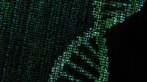 Bioinformatics Market