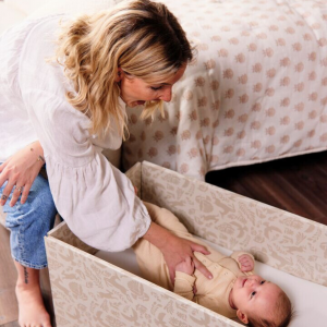 Kind Bassinet in Neutral Woodland