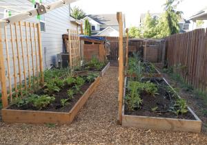 Garden boxes