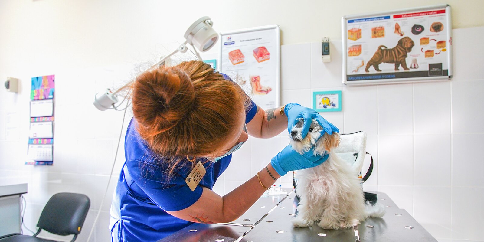 Veterinary Services Market