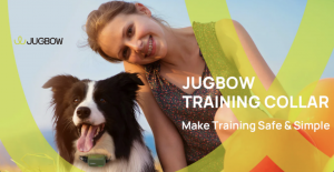 Jugbow Explores innovations in dog training