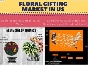 Floral Gifting Market in US Emerging as a New Business Model