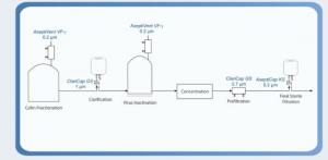 Plasma Fractionation