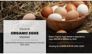 Organic Eggs Market