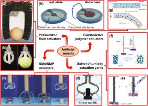 Dielectric-Elastomer-Market