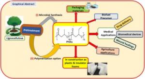 Polyhydroxyalkanoate (PHA)