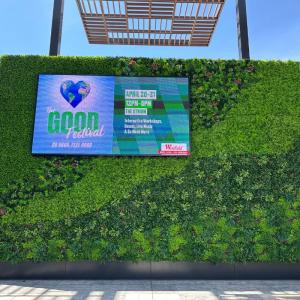 Final Product Artificial Wall Installation