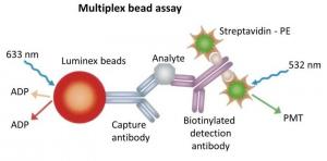 Multiplex_Assays