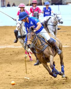 an arena polo player on a beautiful dark horse carries the ball during Texas Arena League