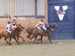 four arena polo players ride horses in arena towards goal mouth