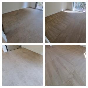 hollywood carpet cleaning before and after