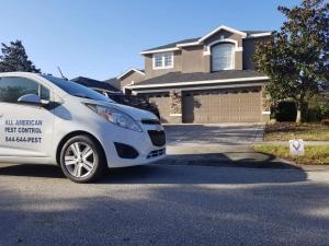 Tampa Pest Control- All American Pest Control
