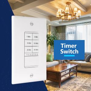 This is an image of Lider Electric's 30 minute timer switch.