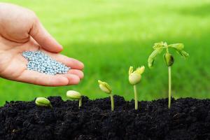 Biopesticides Market Insights