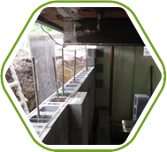 Basement Waterproofing Service