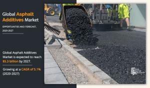 Asphalt Additives Market Type