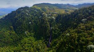 La nueva iniciativa de GreenLand en el departamento de Caldas Colombia, es un claro ejemplo de cómo el agro puede ser un motor de cambio socioeconómico