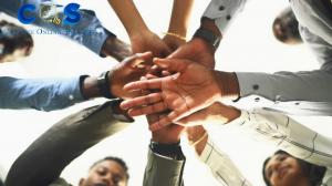 Social Media Marketing Agency Team