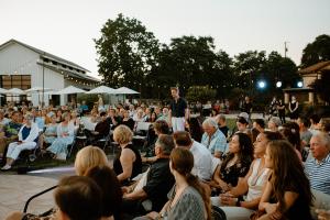 Guests enjoying an immersive show