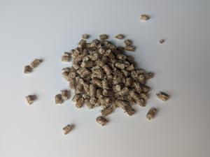 Photo of pelletized hemp masterbatch