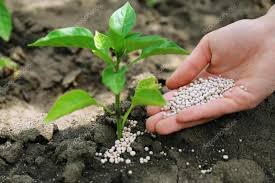 Fertilizer Additives Market Trends