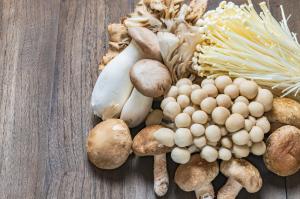 Edible Mushroom market