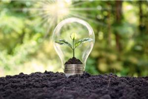 Renewable Methanol Market Trends