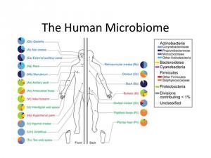Human Microbiome market