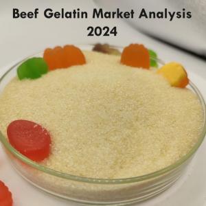 Beef Gelatin Market