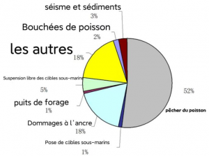 Cette image montre les différentes causes et les pourcentages d'endommagement des câbles de communication sous-marins dans l'océan Atlantique.