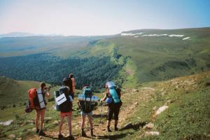 GCC Ecotourism Market Insights